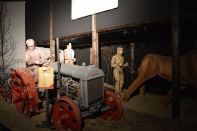 rochehaut-sur-semois (128)