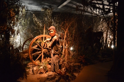 rochehaut-sur-semois (136)