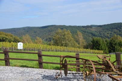 rochehaut-sur-semois (24)