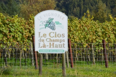 rochehaut-sur-semois (25)