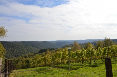 rochehaut-sur-semois (30)