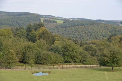 rochehaut-sur-semois (63)