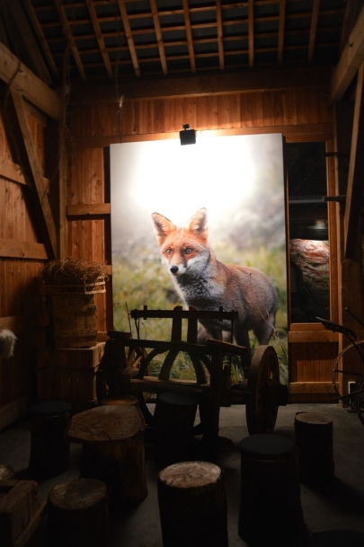 rochehaut-sur-semois (96)