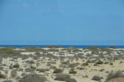 dunes-corralejo-fuerteventura (39)