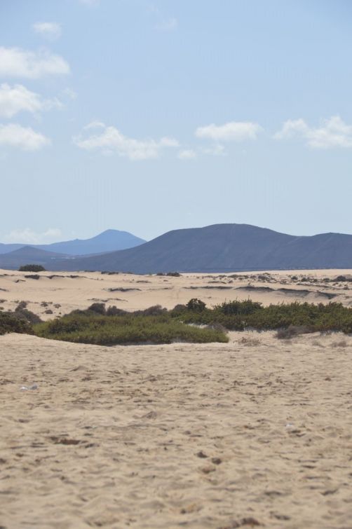 dunes-corralejo-fuerteventura (54)