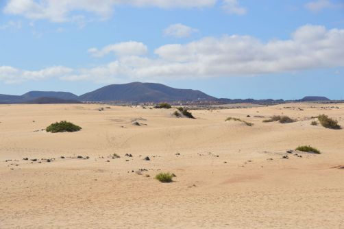 dunes-corralejo-fuerteventura (94)