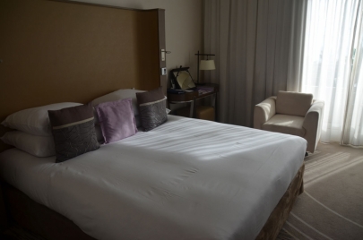 radisson-cannes (42)