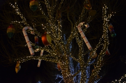 wonderbox-luxembourg (35)