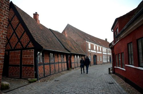 Ribe (116)