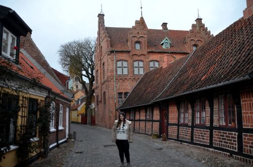 Ribe (124)