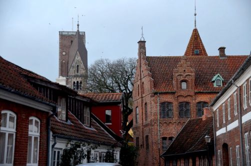 Ribe (125)
