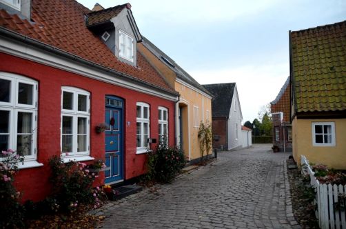 Ribe (126)