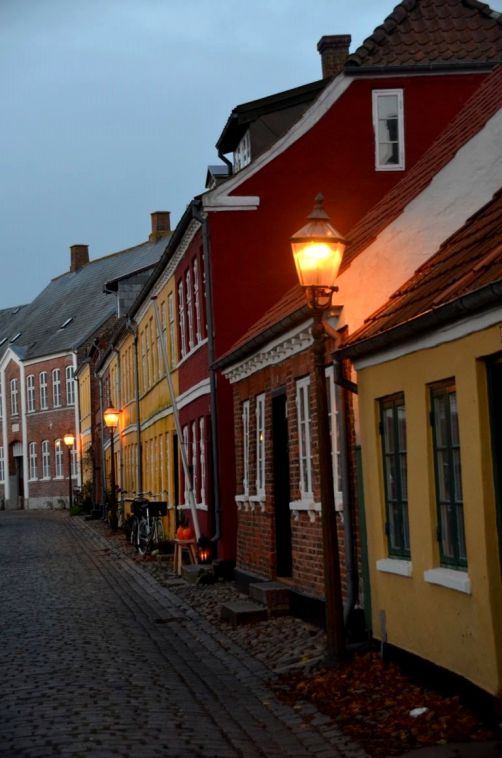 Ribe (129)
