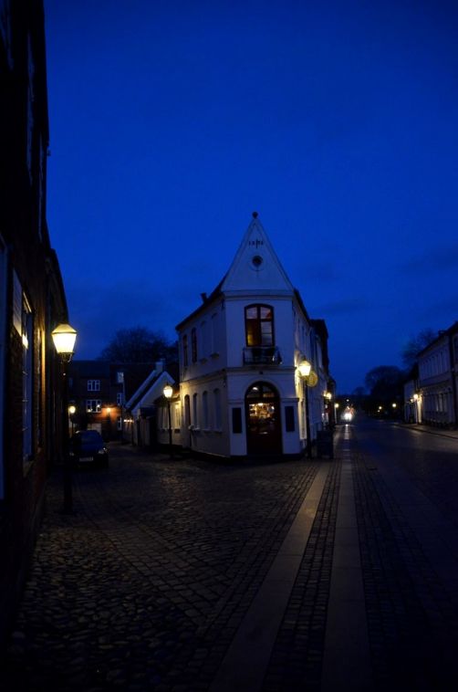Ribe (140)