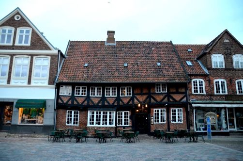 Ribe (159)