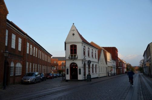 Ribe (27)