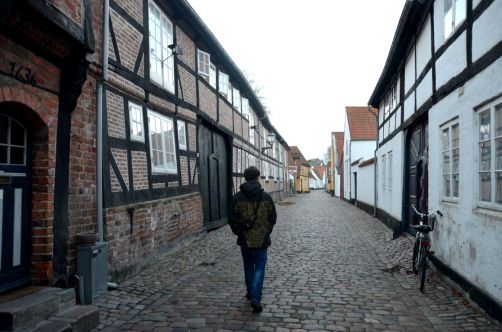 Ribe (42)