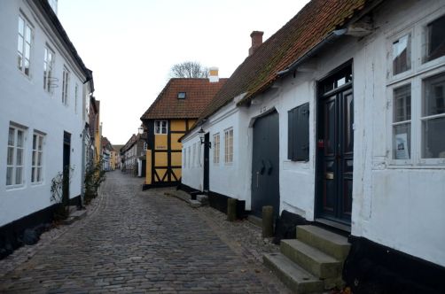 Ribe (51)