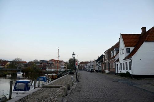 Ribe (60)