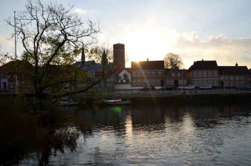 Ribe (6)