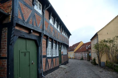 Ribe (72)