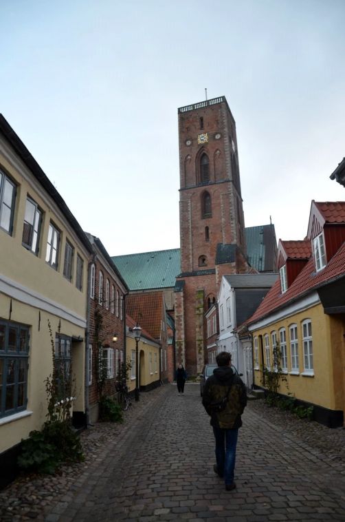 Ribe (74)