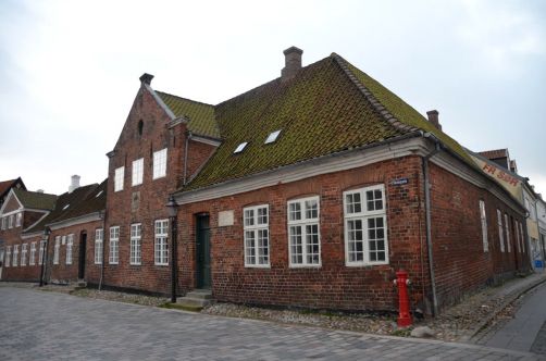 Ribe (78)