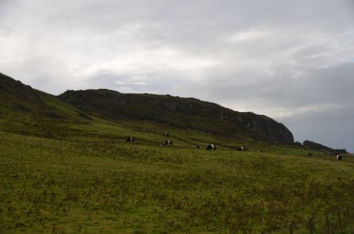 causeway-coastal-road-got (203)