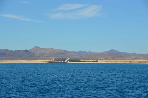 lobos-fuerteventura (106)