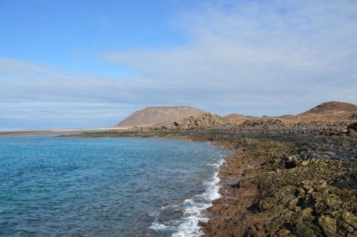 lobos-fuerteventura (113)