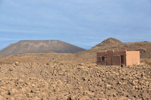 lobos-fuerteventura (118)
