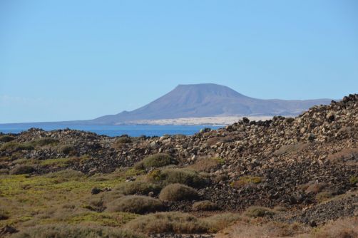 lobos-fuerteventura (121)