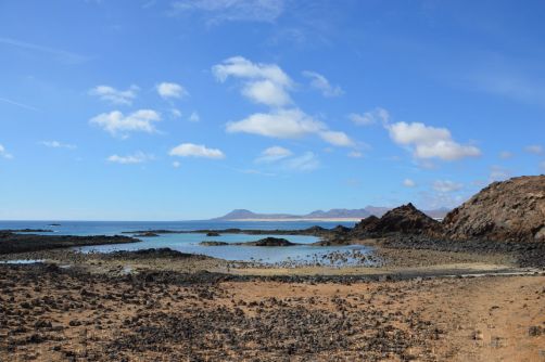 lobos-fuerteventura (130)