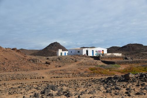 lobos-fuerteventura (133)