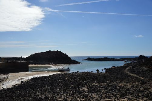 lobos-fuerteventura (137)