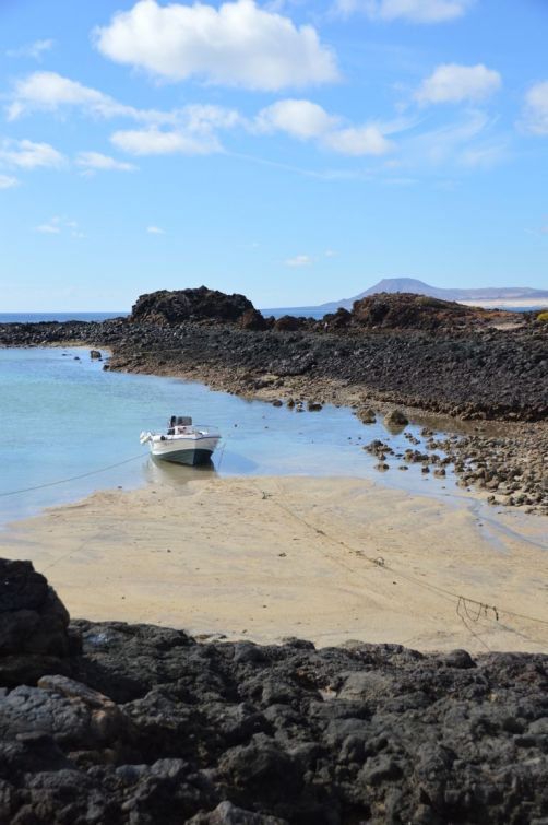 lobos-fuerteventura (143)