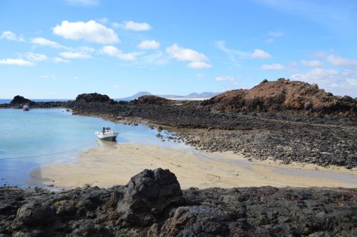 lobos-fuerteventura (144)