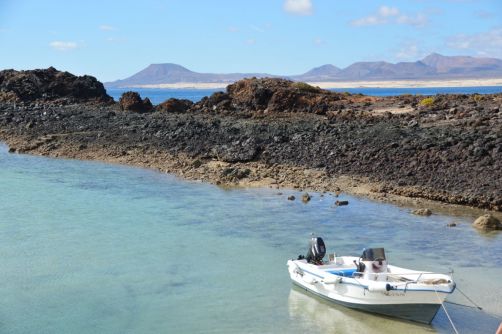 lobos-fuerteventura (148)