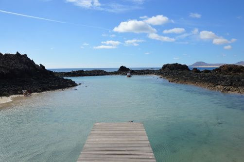 lobos-fuerteventura (150)