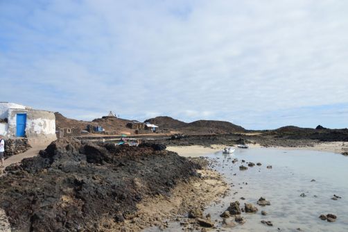 lobos-fuerteventura (152)