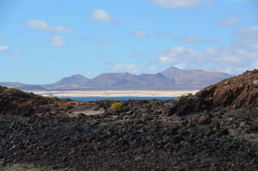 lobos-fuerteventura (155)