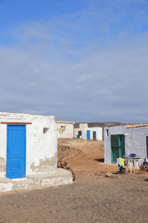 lobos-fuerteventura (161)