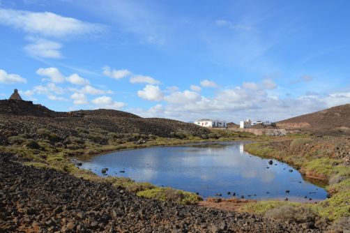 lobos-fuerteventura (173)