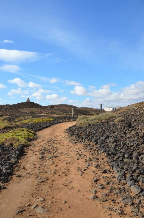 lobos-fuerteventura (174)