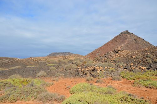 lobos-fuerteventura (175)