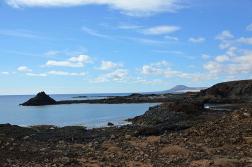 lobos-fuerteventura (181)