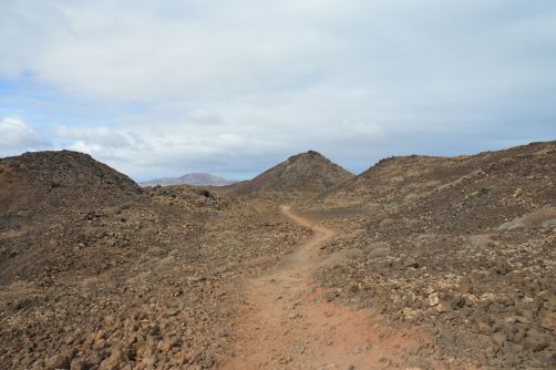 lobos-fuerteventura (183)