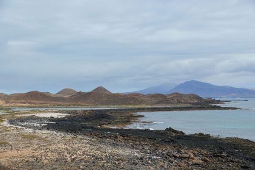 lobos-fuerteventura (188)