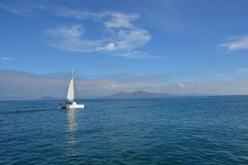 lobos-fuerteventura (19)