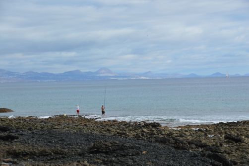 lobos-fuerteventura (193)